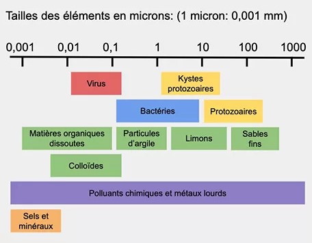 Leurs tailles Eléments